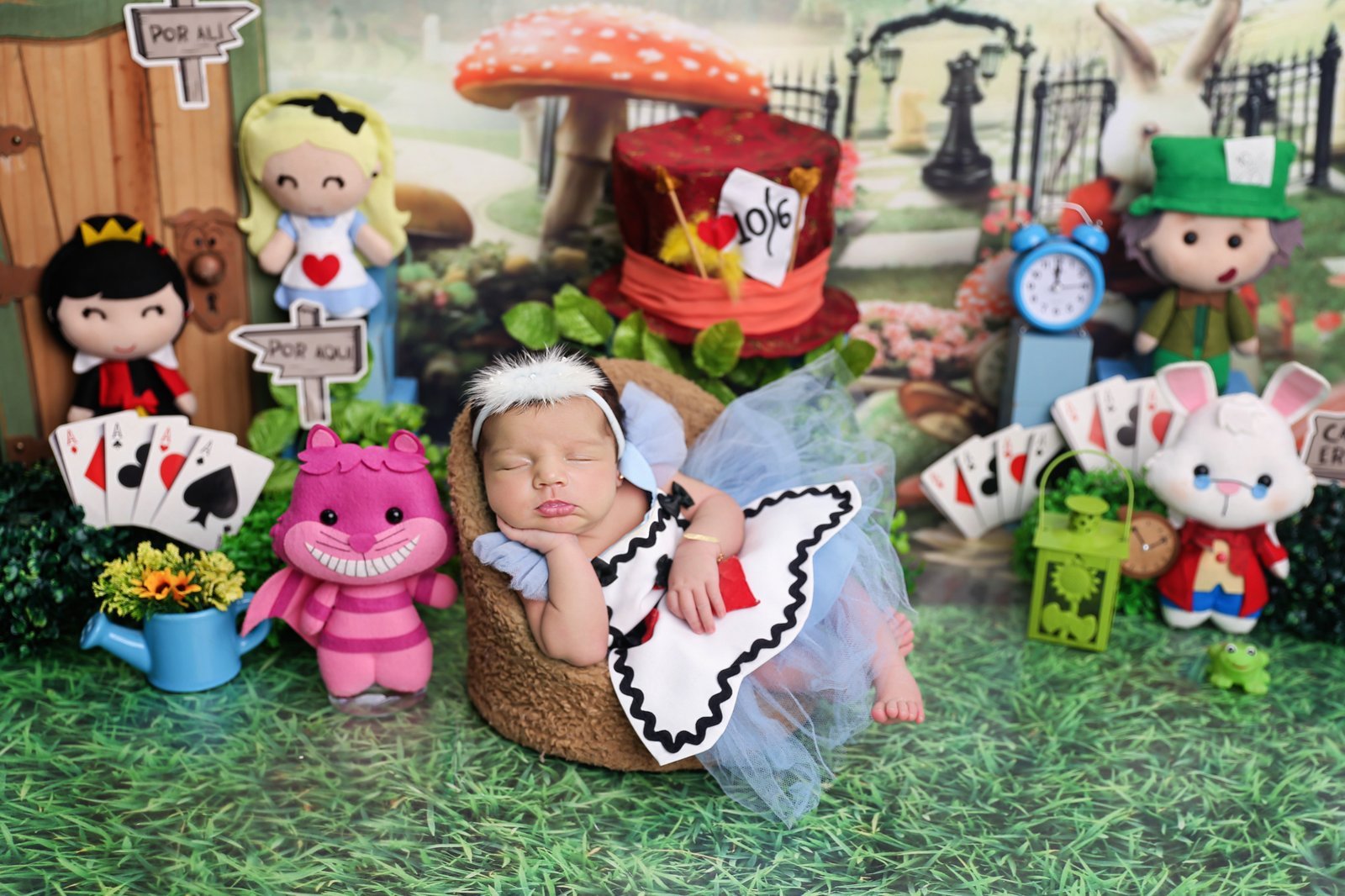 Cenário temático Alice no País das Maravilhas para ensaio newborn